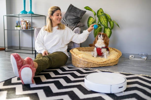 Quiet Vacuums Pets Would Not Fear